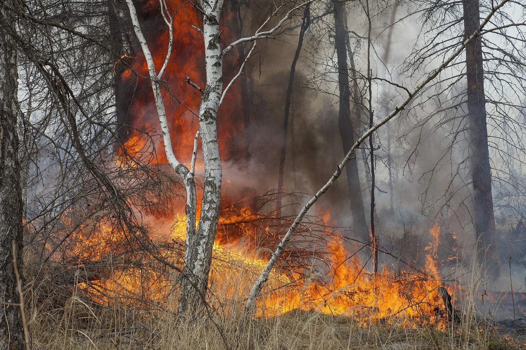 Пожар в лесу Башкирии. Лесной пожар в Зилаирском районе Башкирии 2023. Пожары в лесах Башкирии. Лес в огне.