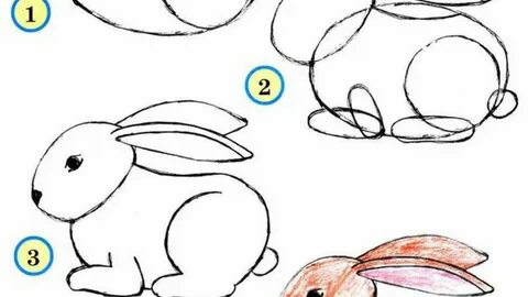 Рисуем поэтапно 7 класс