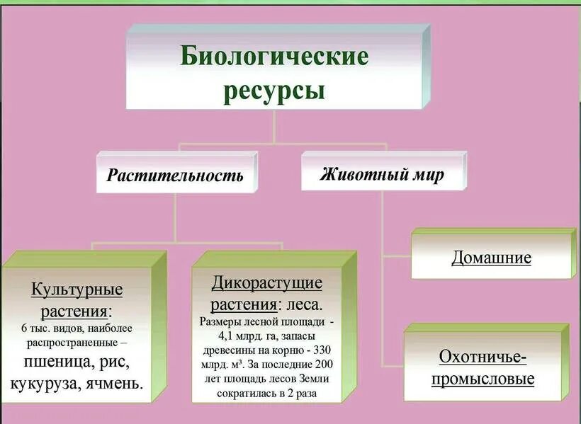 Биологические ресурсы сельского хозяйства