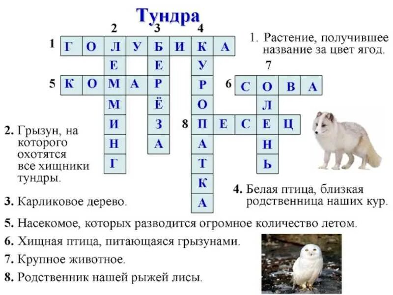 Кроссворд на тему животные и растения. Кроссворд на тему животные. Кросордна тему животные. Кроссворд на тему животные с ответами.