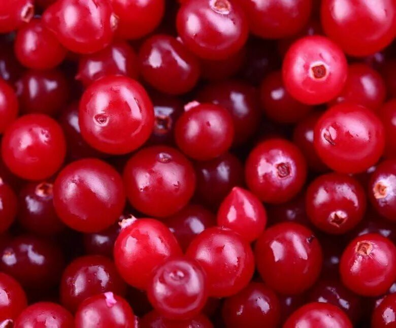 Смородина красная - ribes rubrum. Ягода кислый шарик. Морошка синяя. Морошка вальхейм. Ягода кислый шарик.