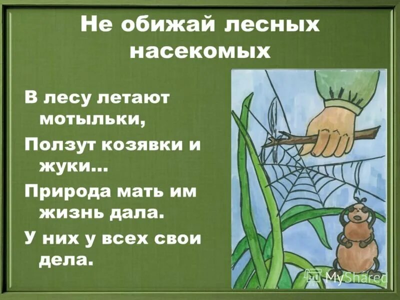 Песня никого не обижай. Берегите насекомых. Не обижать насекомых. Берегите насекомых плакат. Правила поведения с насекомыми для дошкольников.