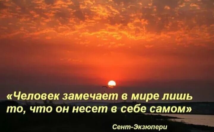 Везде вижу человека