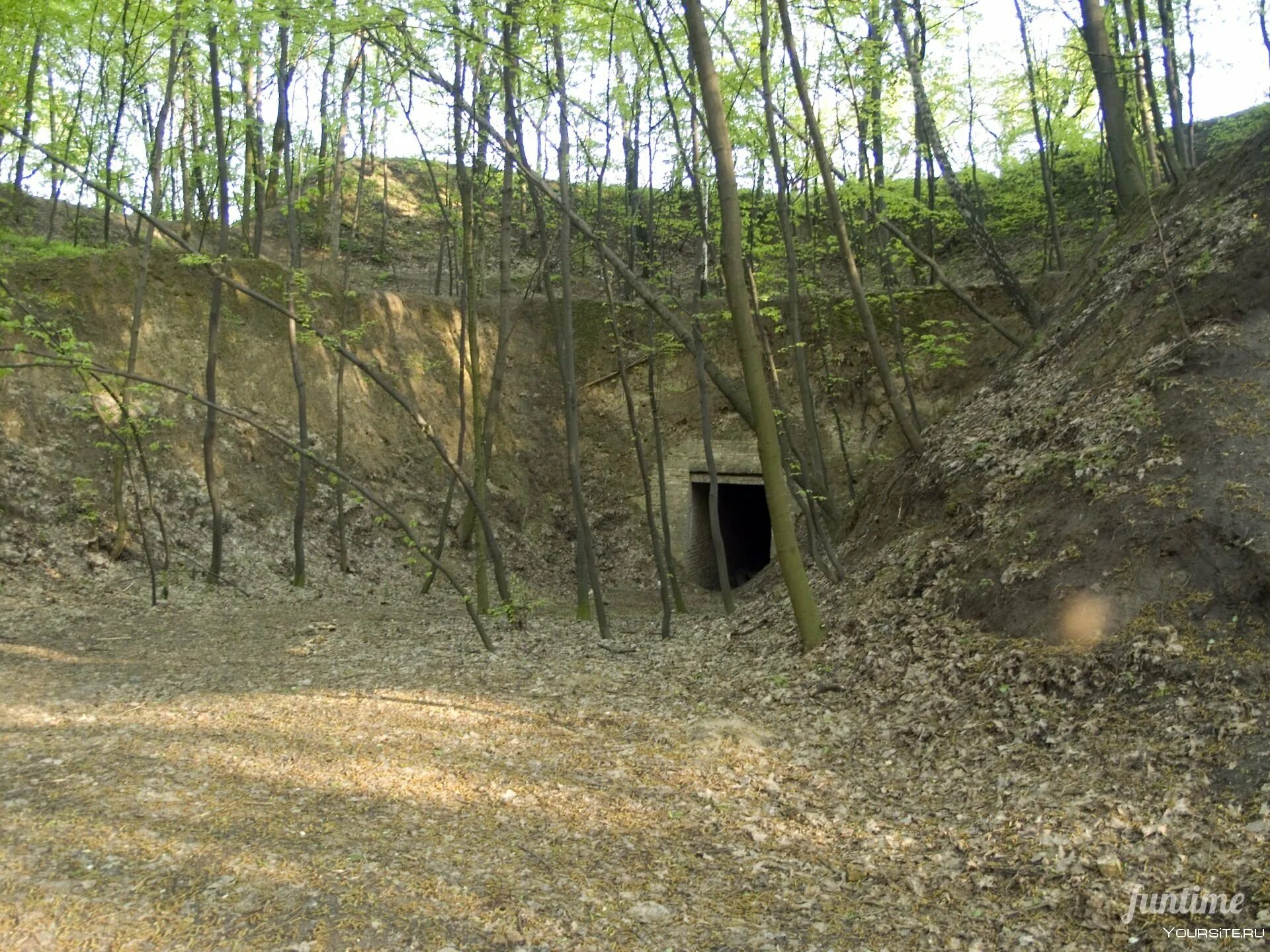 Где находится лысая гора. Лысая гора пермь нагорный. Где находится лысая гора. Лысая гора в самаре. Лысая гора в винницкой области.