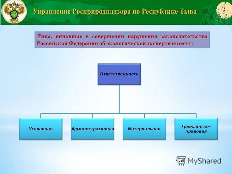 Законодательство рф об экспертизе