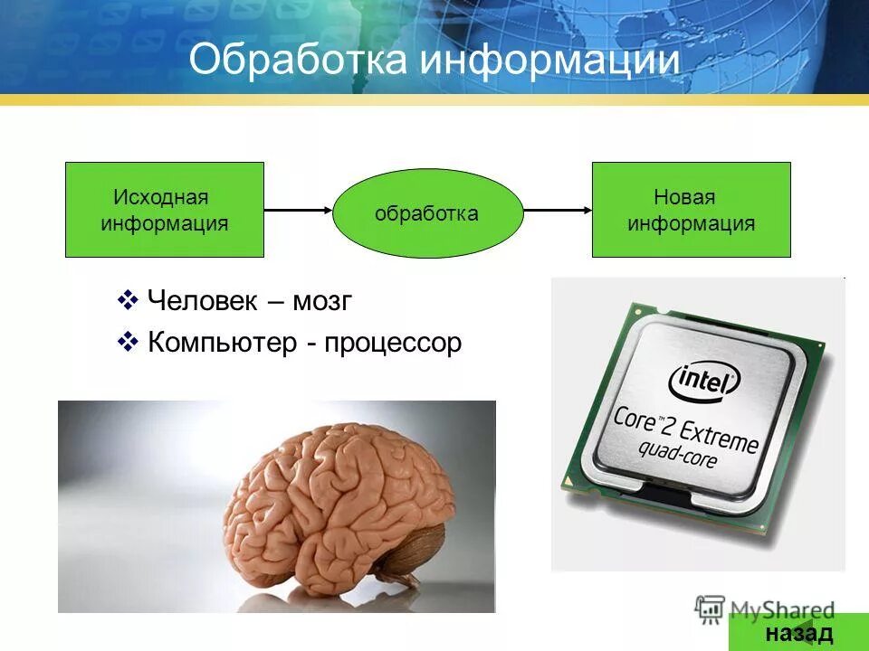 Мозг человека используется на процентов