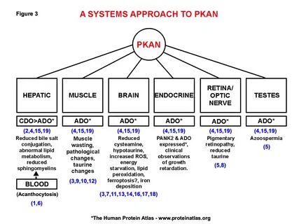 System approach
