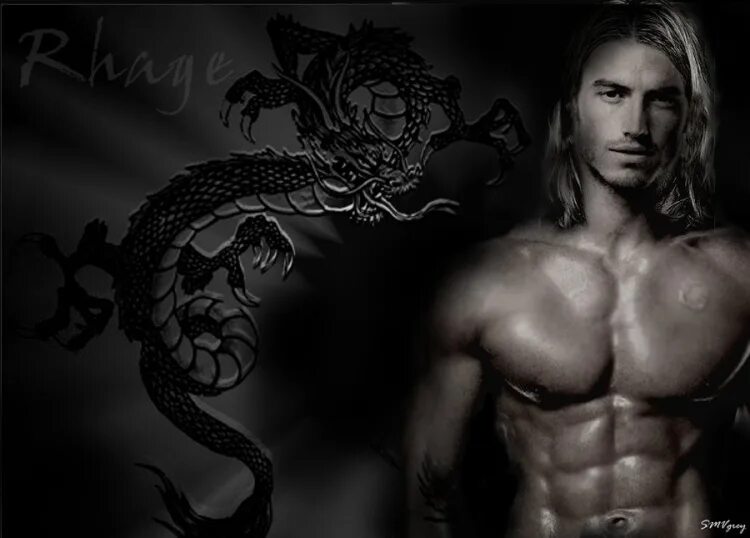 книги дж уорд братство черного. братство чёрного кинжала фильм. братство черного кинжала фьюри. "вечный любовник". братство кинжала уорд.