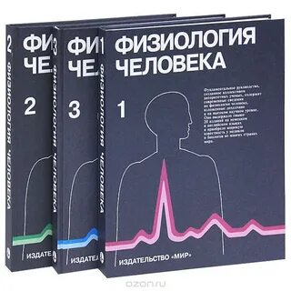 Физиология человека в работе