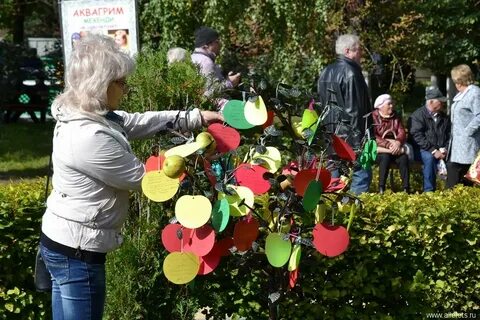 Всероссийский фестиваль яблоко от яблони