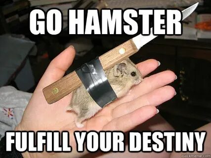 Hamster meme violin