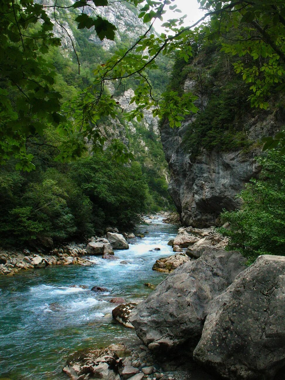 Абхазская республика. Горы в Сухуми Абхазия. Абхазия Сухум природа. Гора Эрцаху Абхазия. Сухум природа.