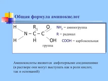 Аминогруппа радикал карбоксильная группа