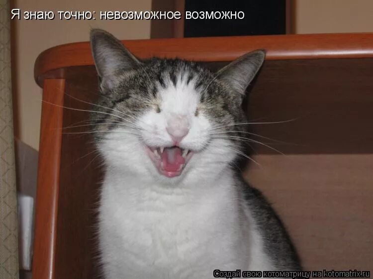 я знаю точно невозможное невозможно слушать. дима билан 2006 невозможное возможно. Njxyjневозможное возможно. дима билан я знаю точно невозможное возможно. я знаю точно невозможное невозможно слушать.