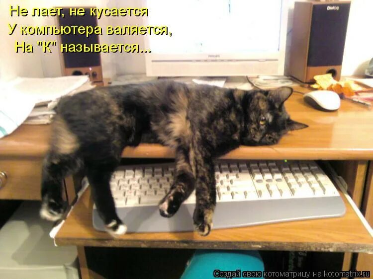 усталый после работы. как заставить себя работать. устала работать форум. устала работать форум. котоматрица работа.
