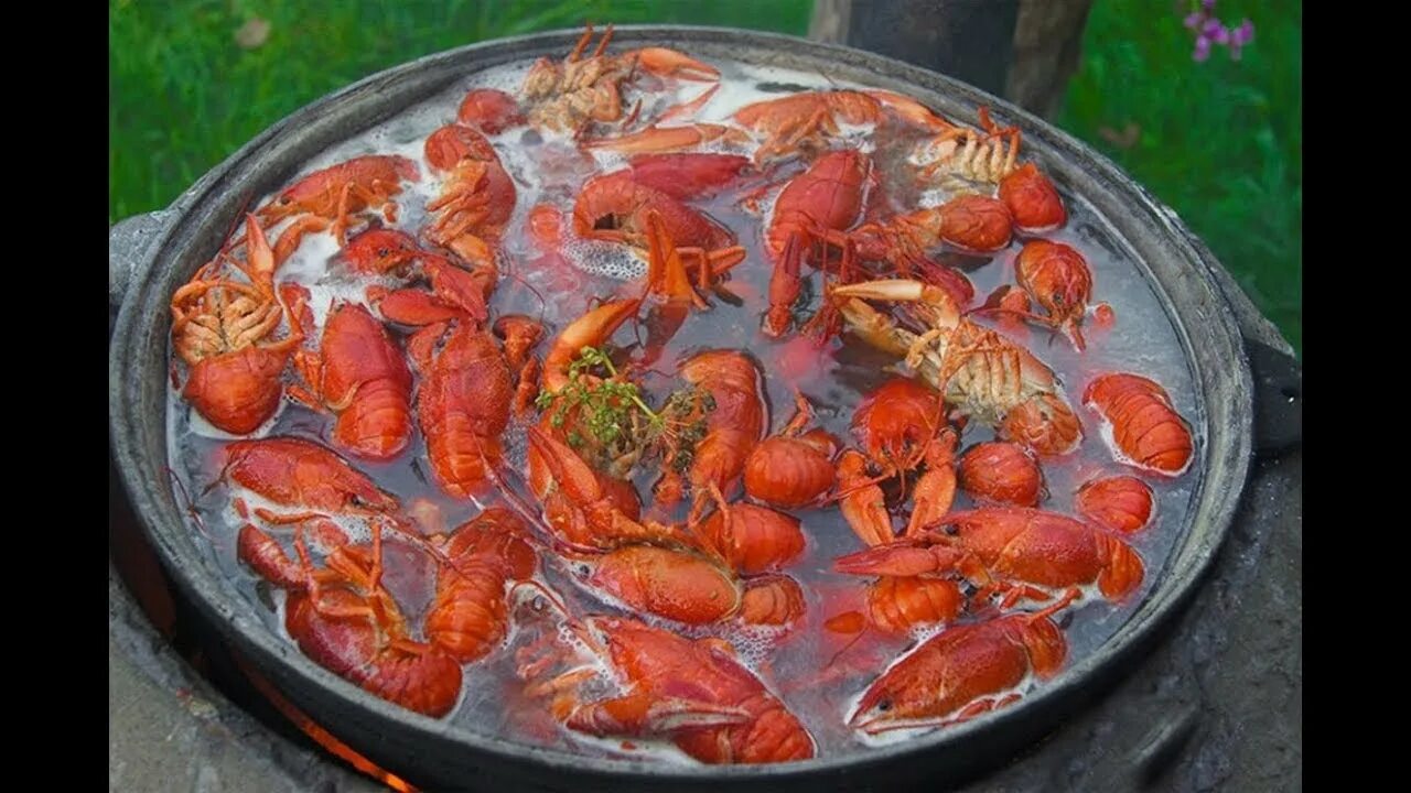 Раки в казане рецепт. Раки в казане рецепт. Приготовление пищи на костре. Рецепт донской чапры. Вареные креветки на костре.