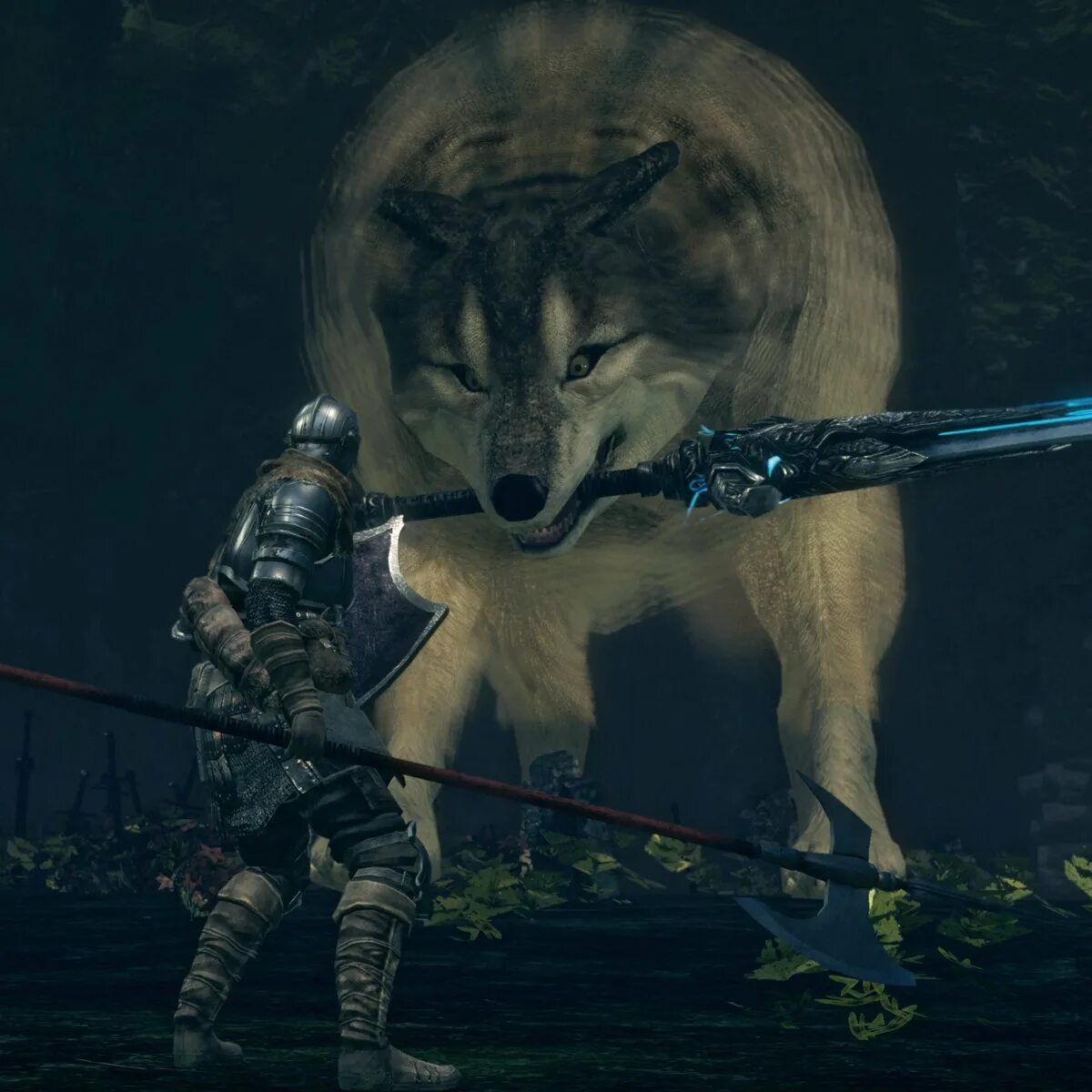 Сиф великий волк в dark souls. Дарк соулс волк сиф. Великий сиф. Сиф великий волк в dark souls. Великий сиф.