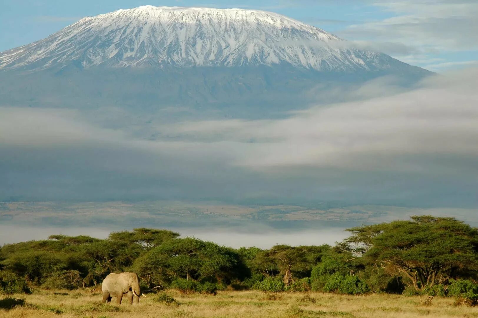 Африка самый высокий. Танзания гора Килиманджаро. Танзания вулкан Килиманджаро. Гора Килиманджаро в Танзании, Африка. Кения гора Килиманджаро.