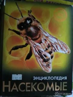 Знаешь насекомых