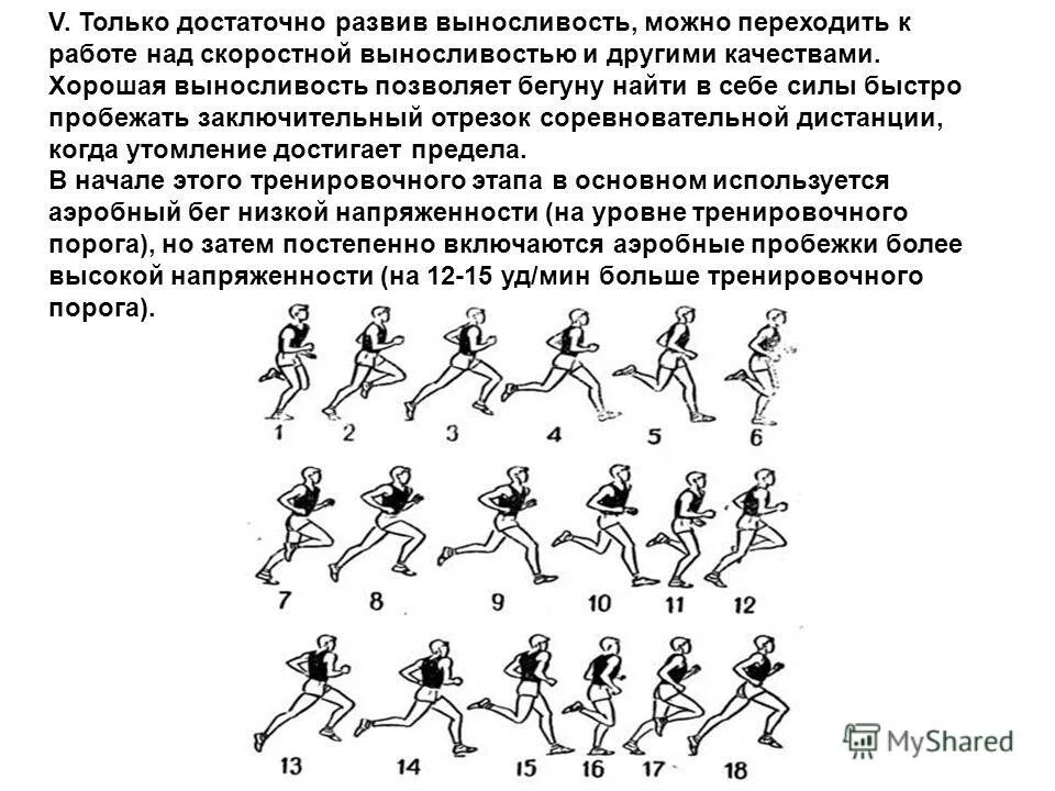 Тренировка на выносливость упражнения. Упражнения для выносливости в беге. План бега для выносливости. Бег для развития выносливости. Аэробный бег