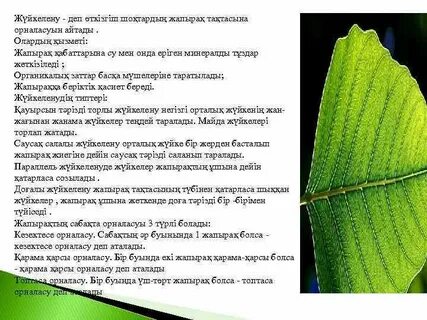 Тренни каммингтің суреттері