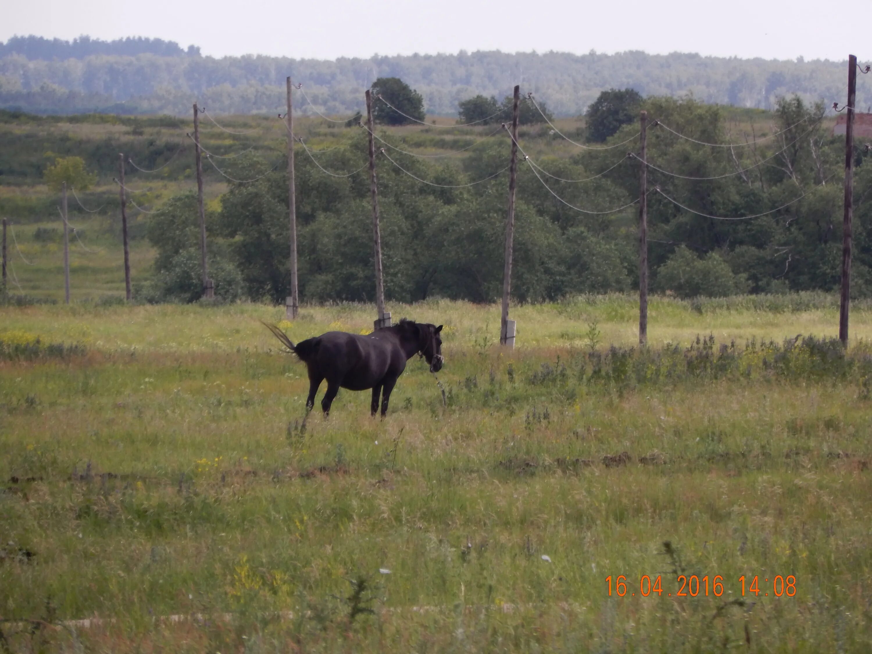 село петровка абдулинский район. камыш садак абдулинского района. камыш садак оренбургская. камыш садак абдулинского района. камыш садак село.
