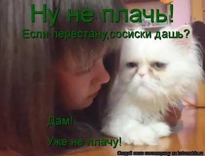 Сама ты плачь