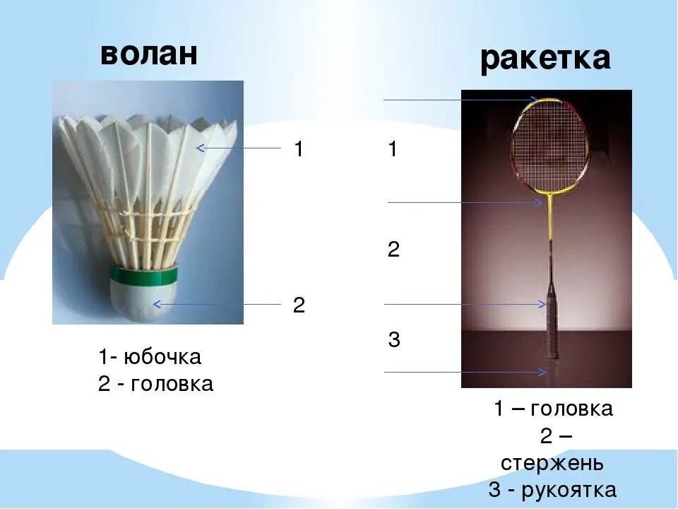 Бадминтон до скольки. Строение волана для бадминтона. Строение ракетки для бадминтона. Бадминтон строение воланчика. Название частей ракетки для бадминтона.