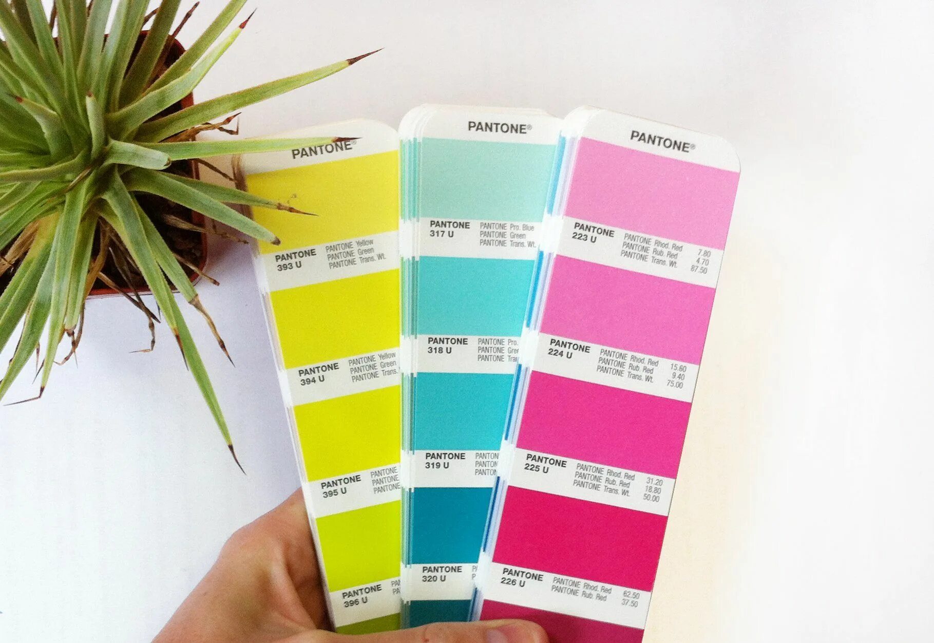 Panton c. Пантон 1788. цвет пантон 2025. pantone 226c. pantone 212 c.