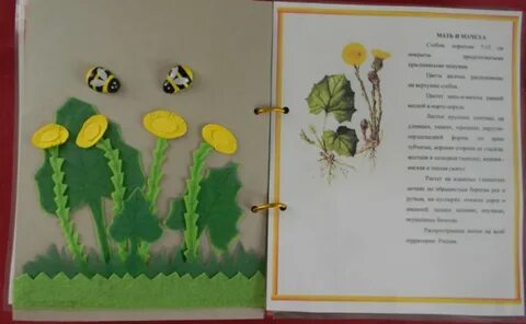 Книжка про растения