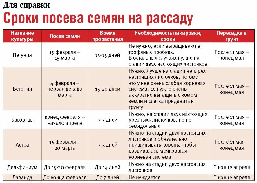 Какие семена можно в мае. Даты посева семян на рассаду. Какие цветы посеять в феврале на рассаду. Сроки посадки однолетних цветов на рассаду. Сроки посадки семян.