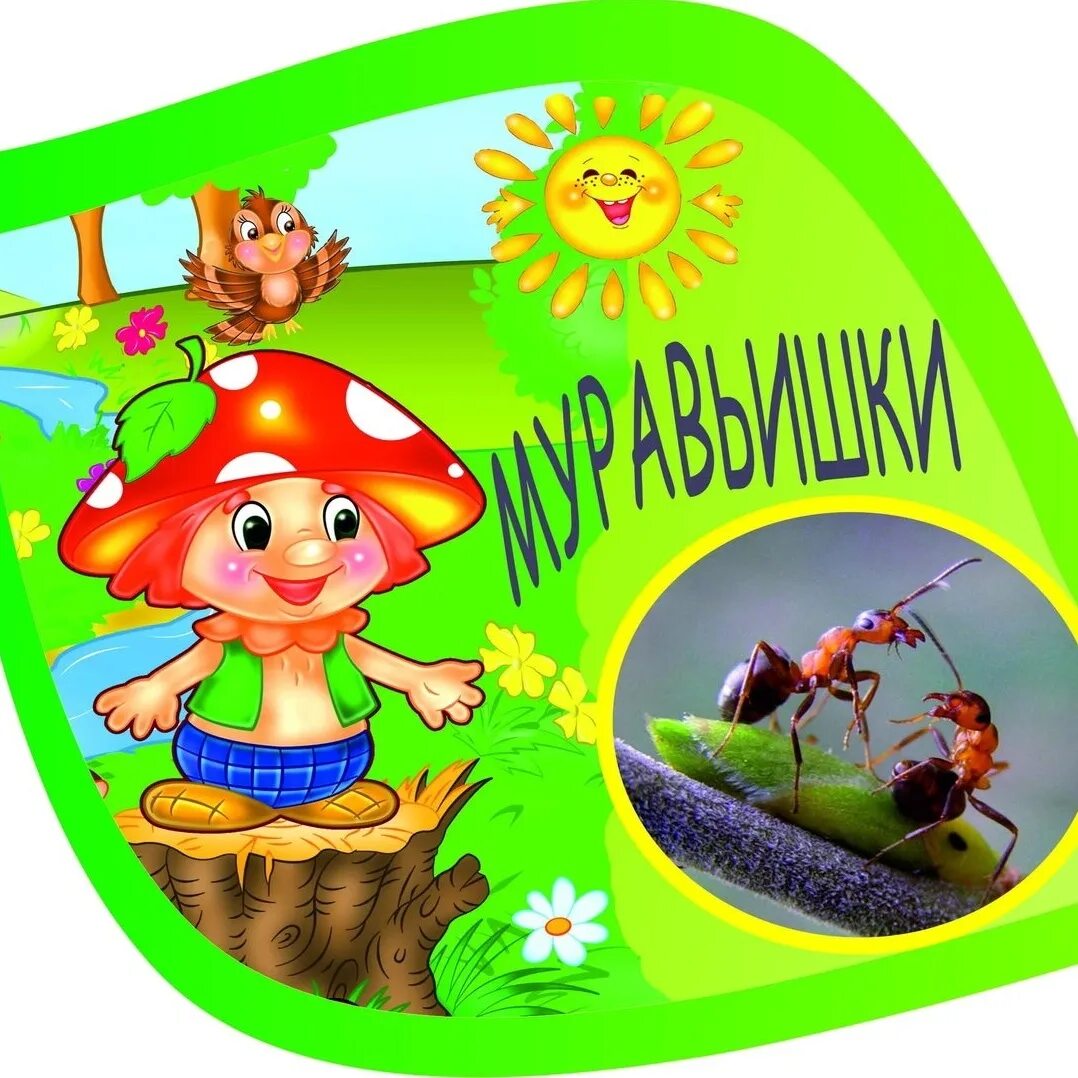 Муравейник конкурс