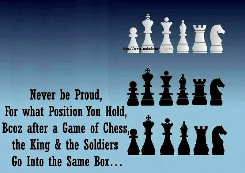 The same box. Chess quotes. About Chess. Best quotes about Chess. Цитаты all for the game.