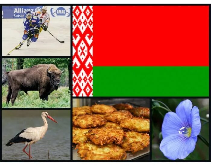 Герб рб 2022. Государственная символика республики беларусь 2022. Symbols of belarus. Национальные символы беларуси. Белоруссия столица герб флаг.