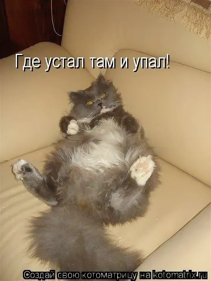 Кто там устал от холодов. Статусы про холод в отношениях. Кто там устал от холодов. Девушка лежит на снегу. Очень холодно.
