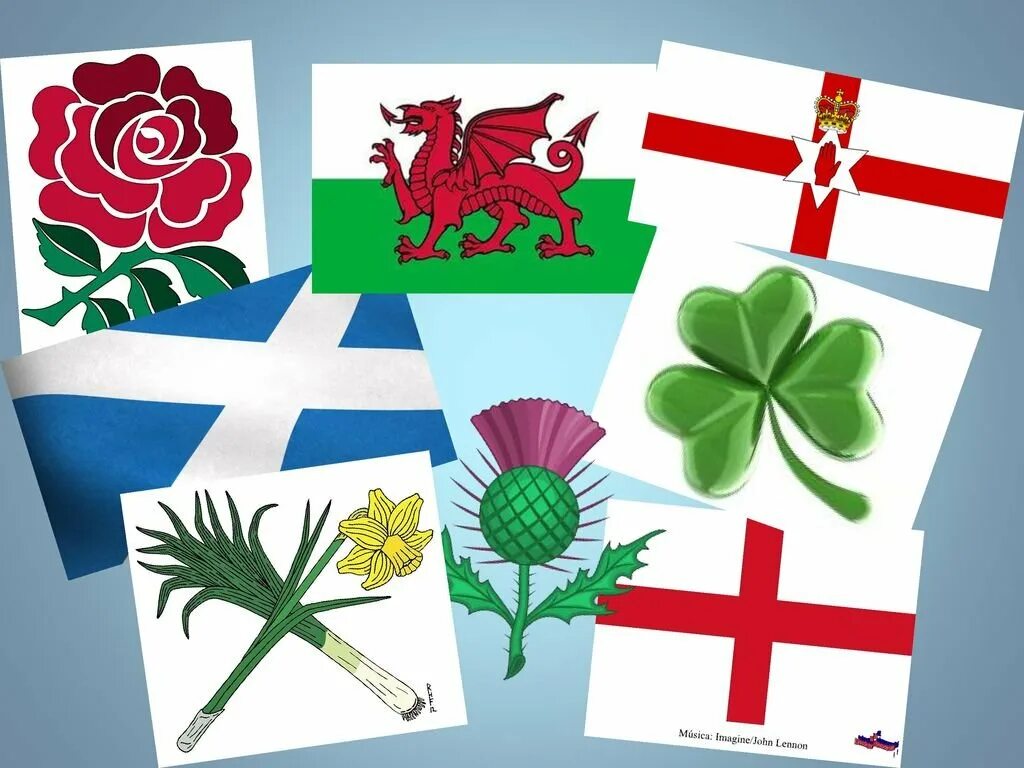 Растение символ страны. Символы Англии Шотландии Уэльса и Северной Ирландии. Национальные символы Англии Шотландии Уэльса и Северной Ирландии. Символы Великобритании. Национальная эмблема Англии.