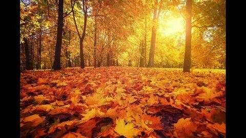 Fall has begun