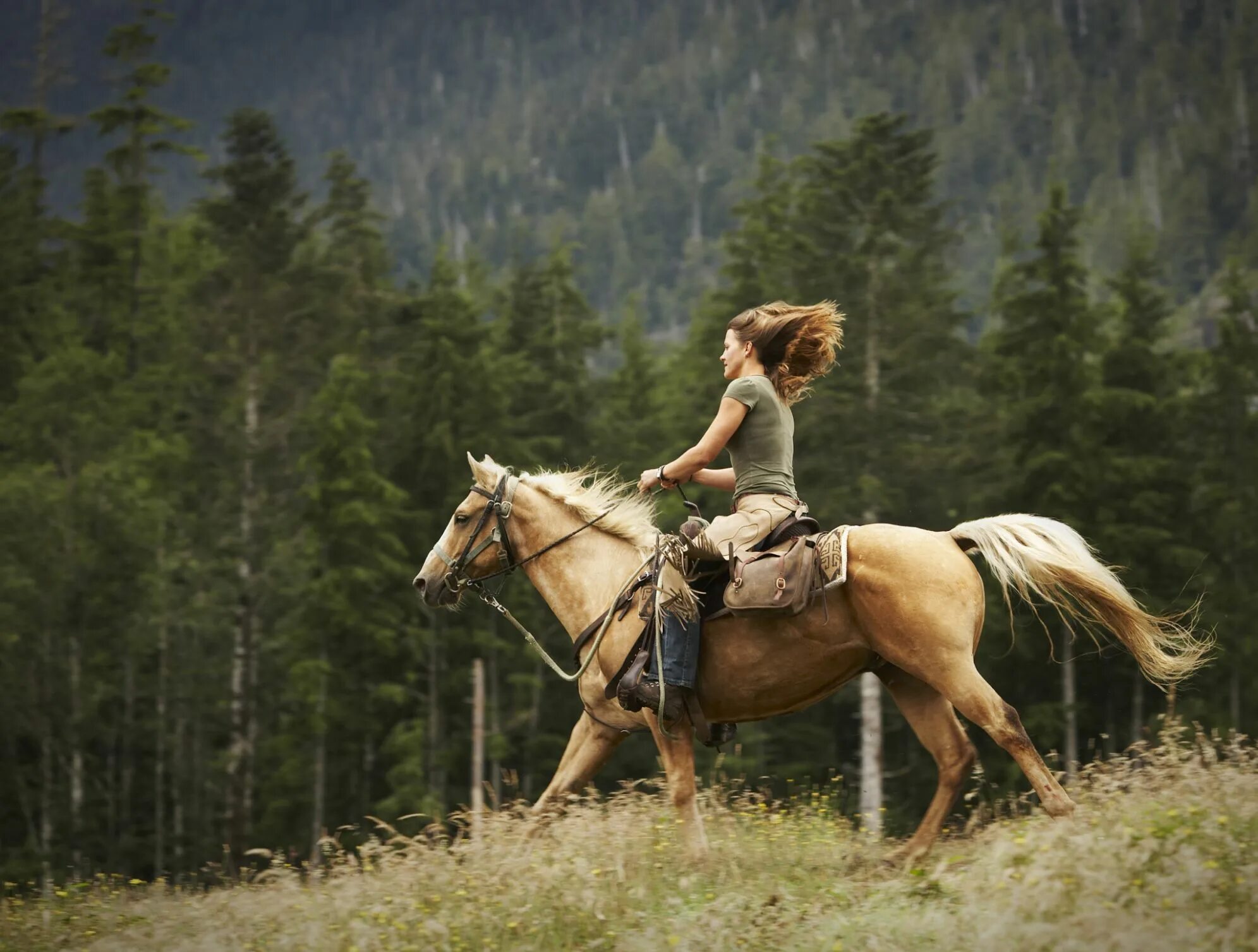 Women riding men. Хорс райдинг. Верхом на лошади. Девушка на коне. Девушка с лошадью.