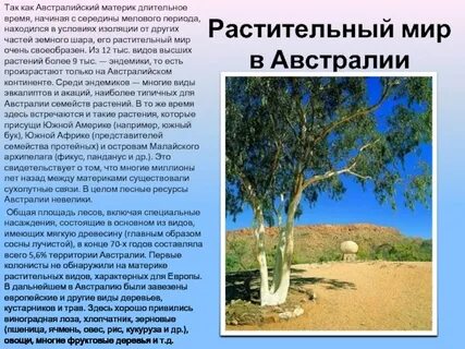 Охарактеризуйте растительный мир австралии