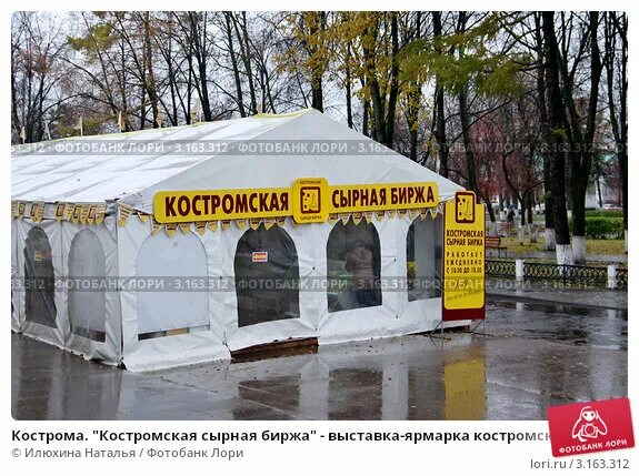 биржа сыра кострома. сырная биржа кострома. сырная биржа кострома. сырная лавка кострома. кострома биржа.