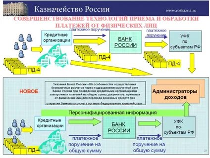 Как открыть счет в казначействе юридическому лицу