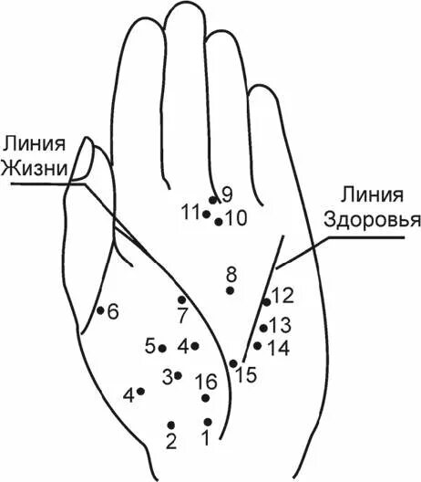 Линия жизни и здоровья. Методика линия жизни. Линия жизни по руке. Линия жизни и здоровья на руке.