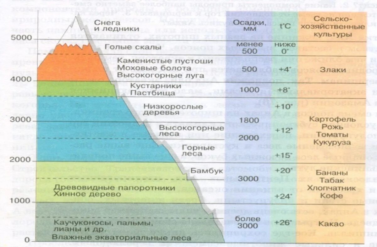 Природные пояса кавказских гор. Природные зоны ВЫСОТНОЙ поясности. Природные зоны России Высотная поясность. Высотная поясность горы Килиманджаро. Высотная поясность Килиманджаро схема.