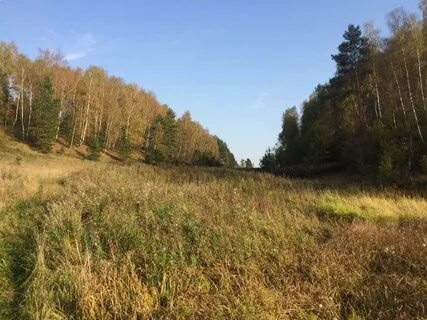 Александровский участки
