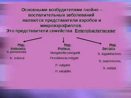 Воспалительно гнойные инфекции