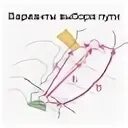 Движение между областями