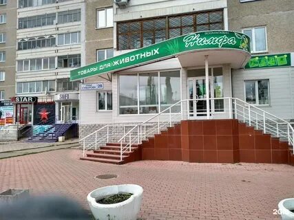 Нимфа кропоткин