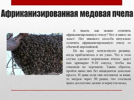 Никакими способами