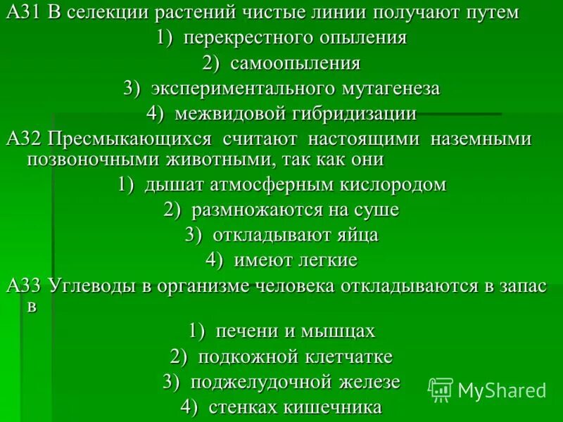 Чистую линию в селекции растений называют. Чистая линия это в биологии. Инбридинг. Селекция животных. Селекция растений и животных.