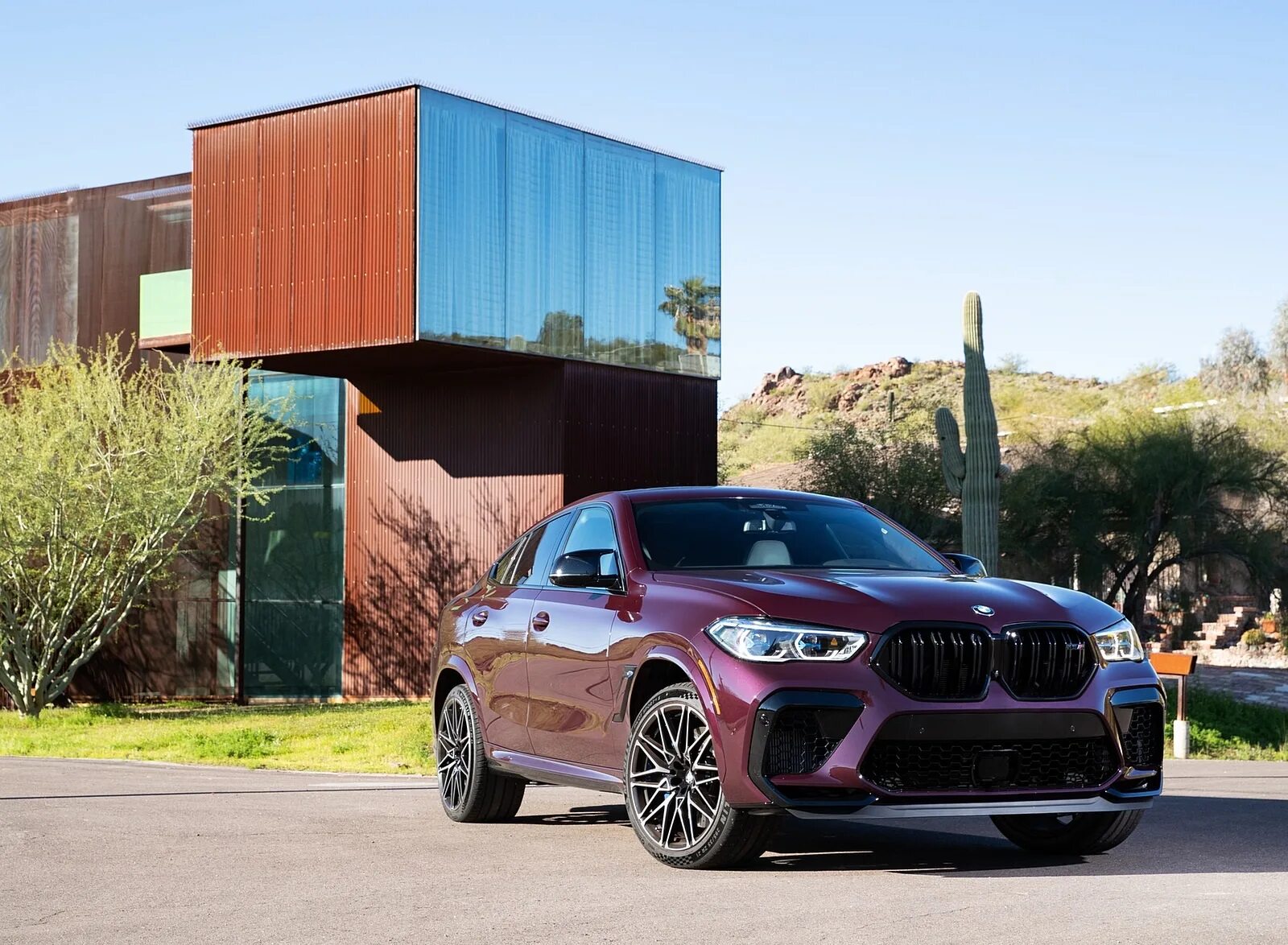 БМВ x6m Competition. БМВ x6m 2020. BMW x6 m 2021. БМВ x6 2022. Х6м 2023